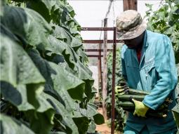 images/Q-cumberland General/Ashante-Lodge-Q-Cumberland-Farming-Lephalale-limpopo-2.jpg